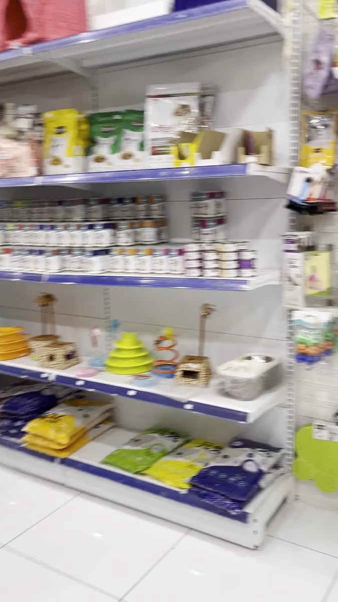 مؤسسة الطائر المميز للتجارة
