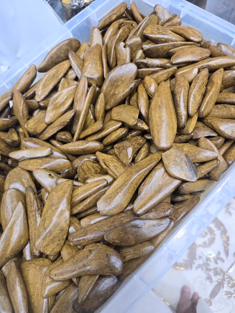موسسة نوير عبدالله القحطاني للعود