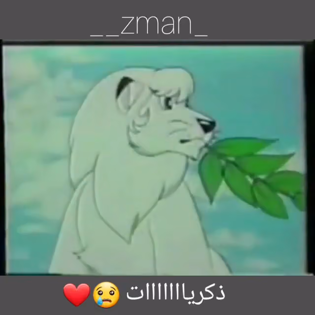 مؤسسة قلب التميز للتجارة
