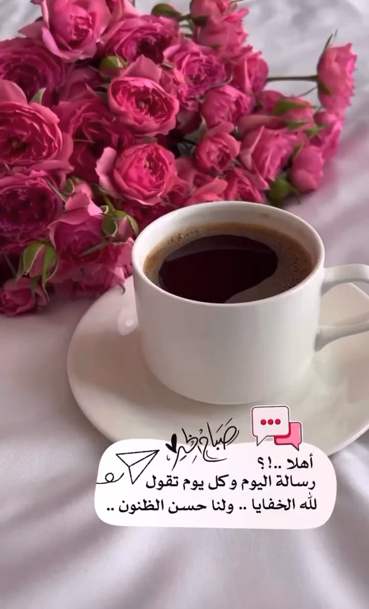 مؤسسة رينبو قطع غيار بيجو ، رينو ، ستروين