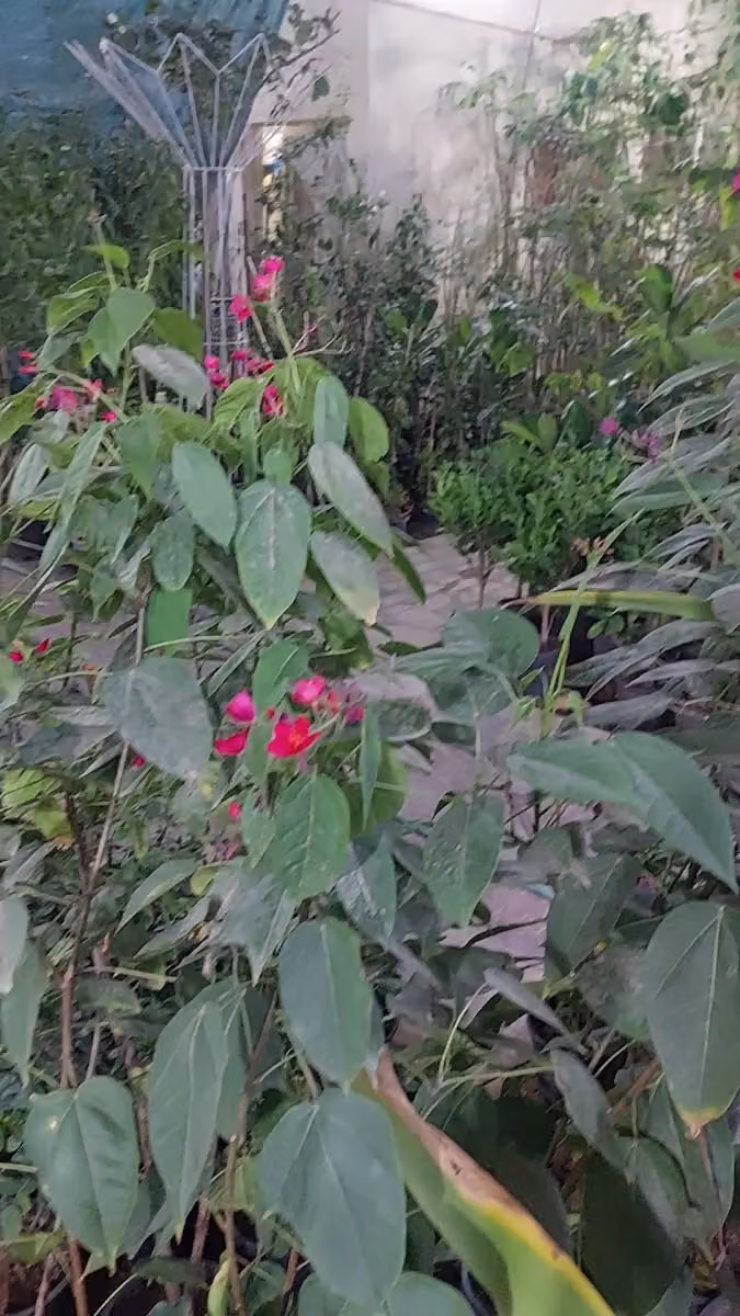 مؤسسة تجميل المواقع الزراعية