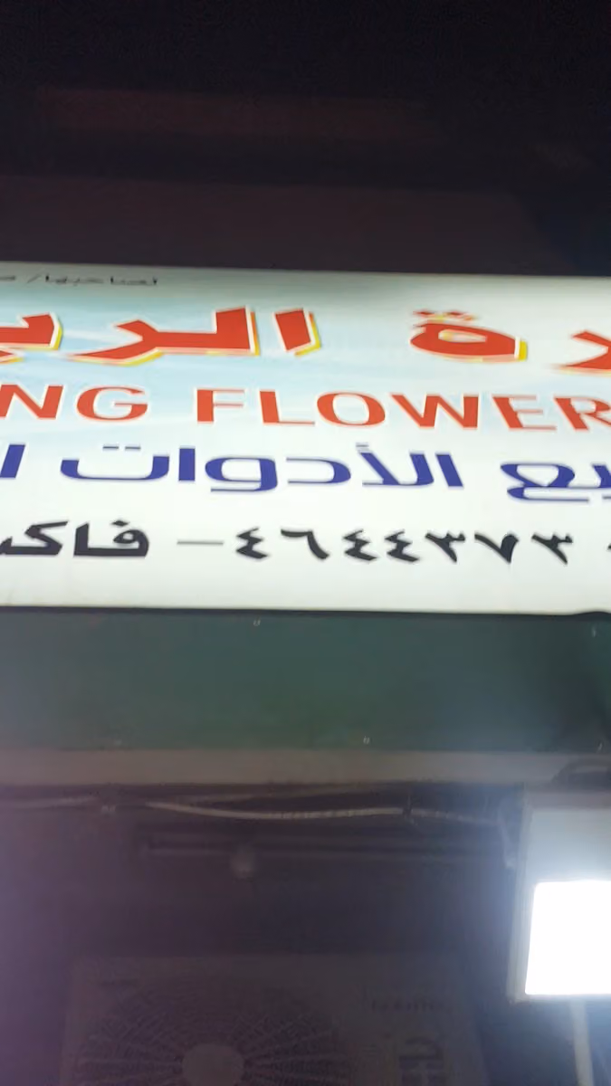 مؤسسة زهرة الربيع للكهرباء والسباكة