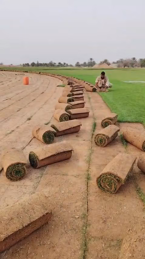 مؤسسه زيب القحطاني لزراعه