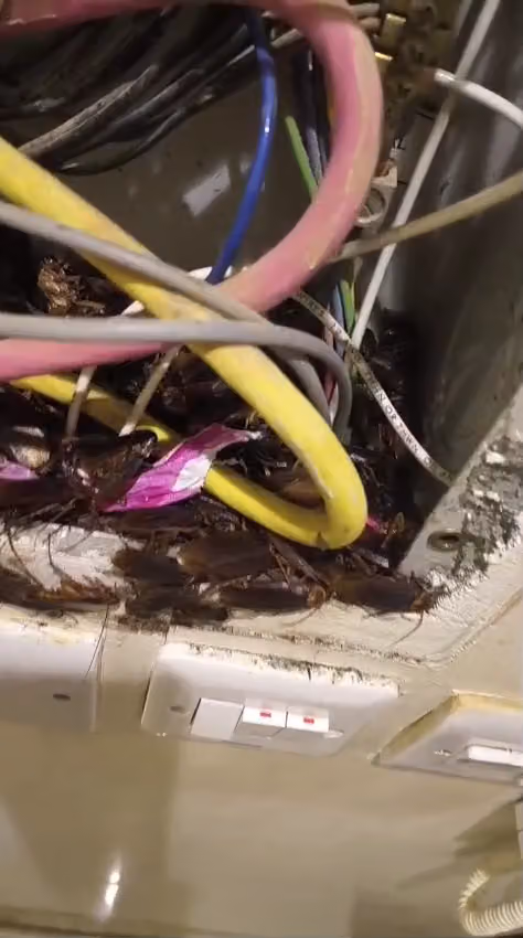 موسسه.فداك.الاولى.للادوات. الكهربايه electric and plumber