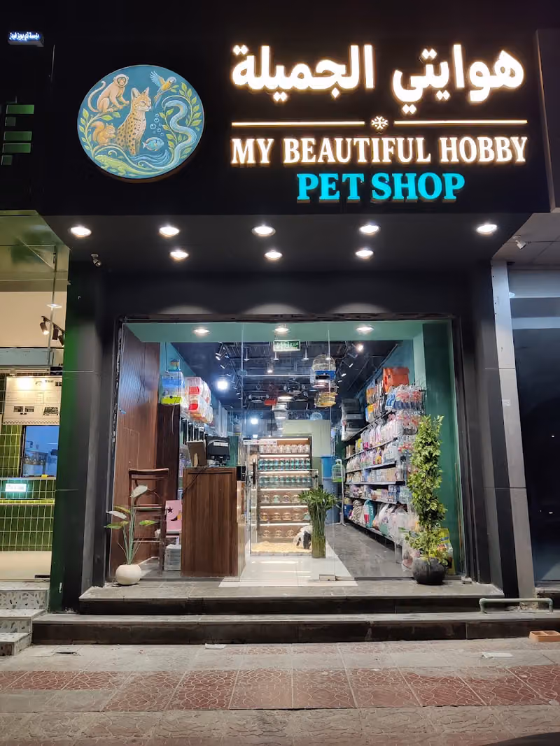 My beautiful hobby | هوايتي الجميلة