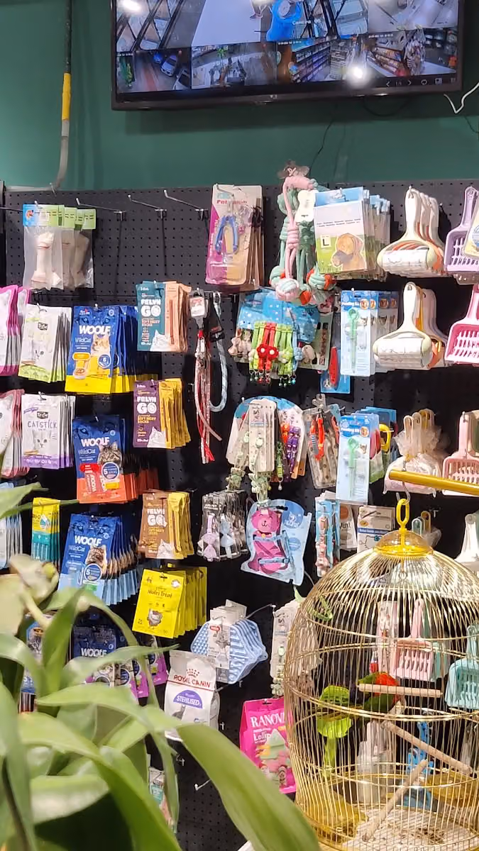 My beautiful hobby | هوايتي الجميلة