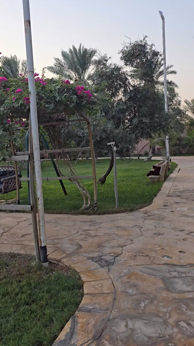 مزرعة ٩٧٩ الفاخرة