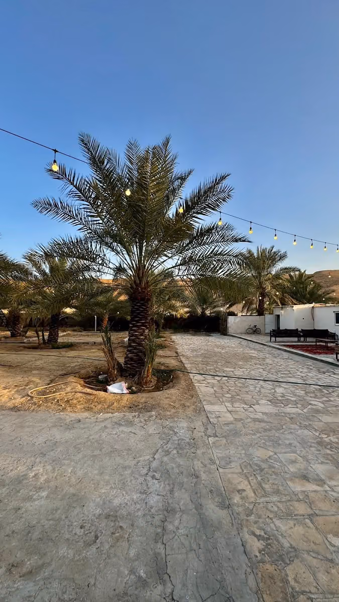 مزرعه الرفيعه