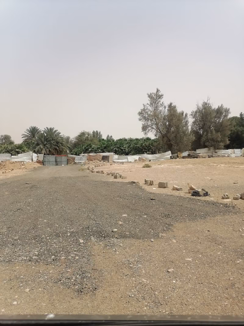 مزرعة ورثة موسى النجار رحمه الله
