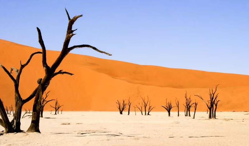 N المنوعه لشيلات