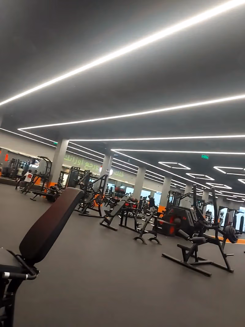 N2 Fitness