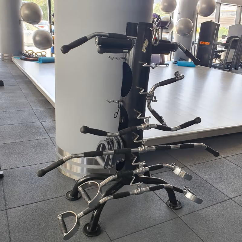 نادي العضلة الرياضي The Muscle Gym