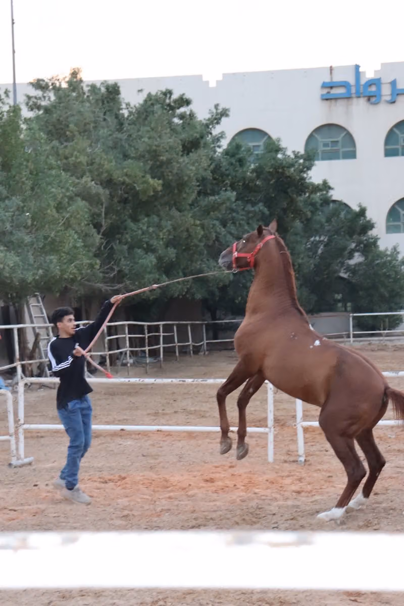 نادي الجواد للفروسية