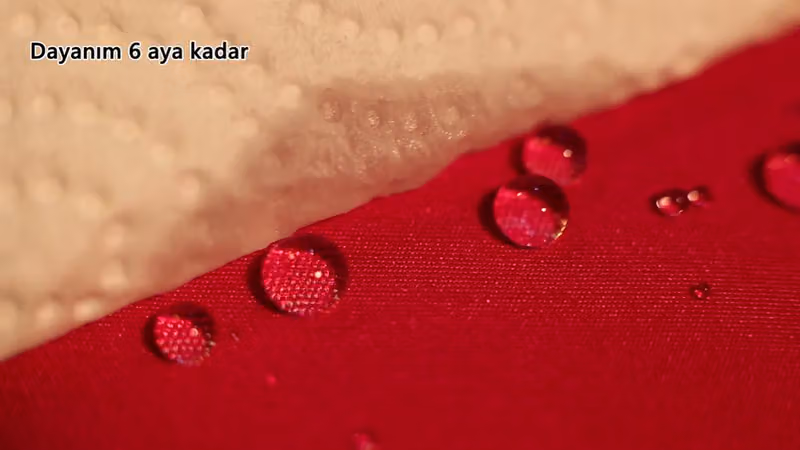 نانو شيلد Nano Shield
