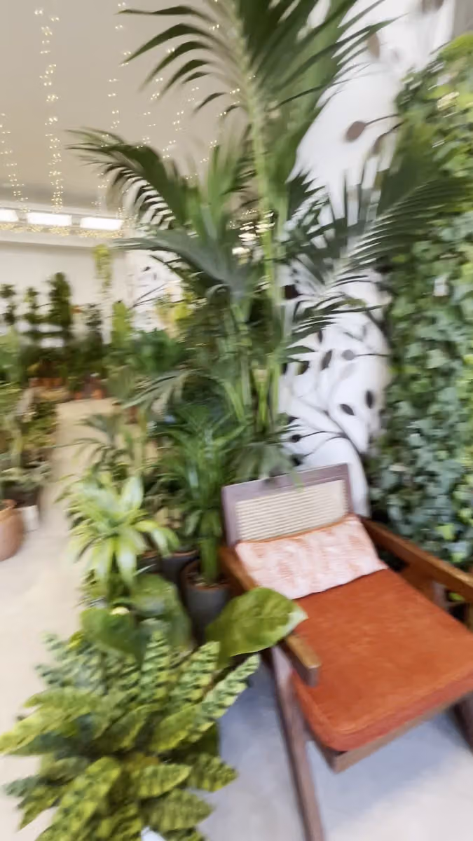 نباتاتي