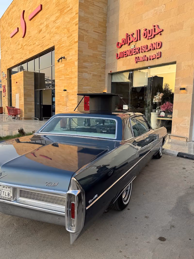 نبض الزهور