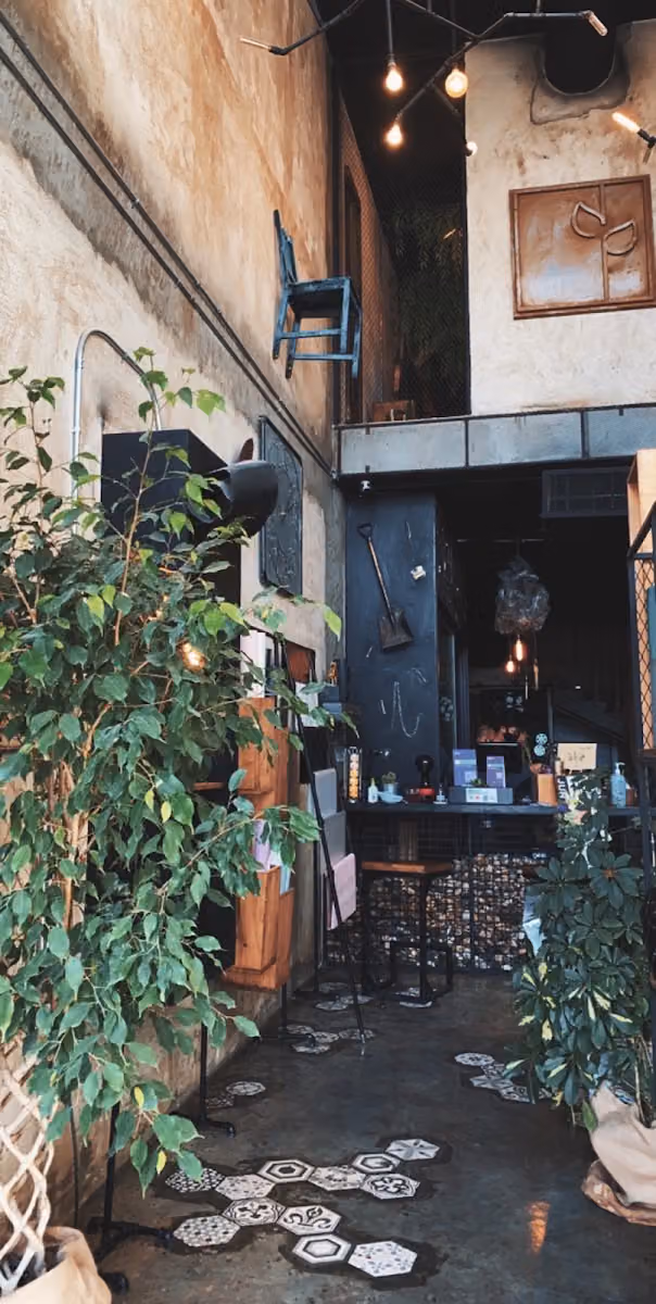 نبت | Nabt