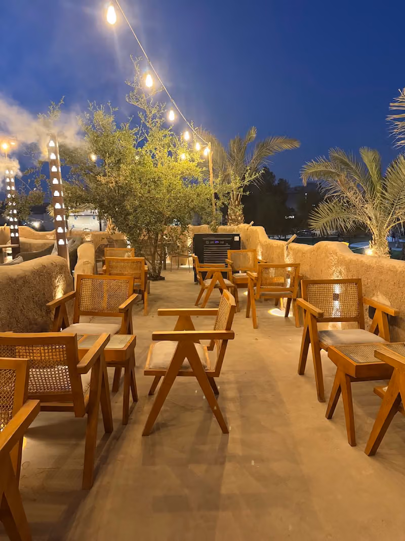 نبتة شاي TEA PLANT