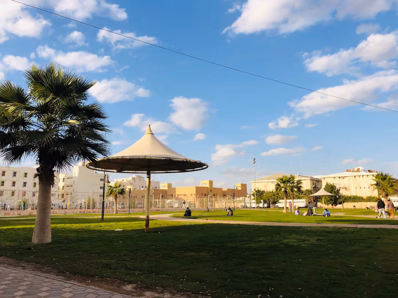 New Saniya Park