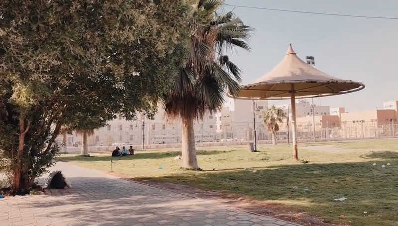 New Saniya Park