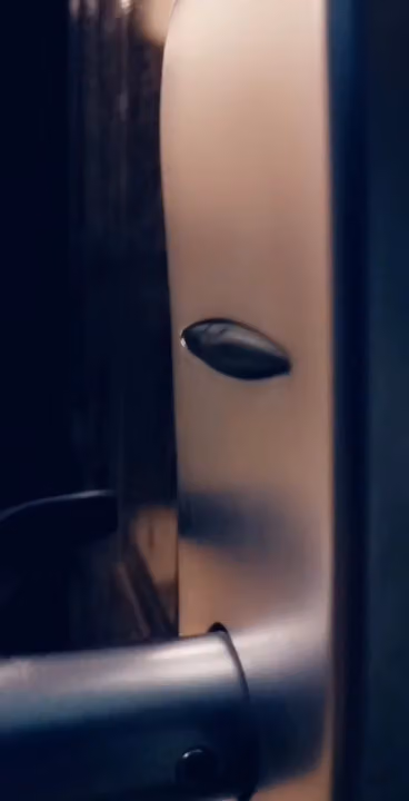 نجمة تالين