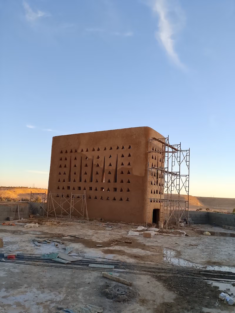 نخل نخيل واشنطني زينة واشنطني ابو مروحة