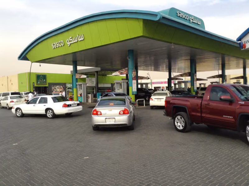 نخلة ساسكو‎