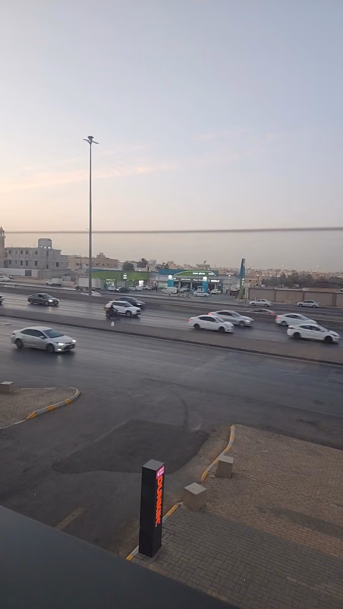 نخلة ساسكو