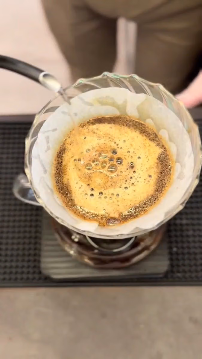 NMAO Coffee