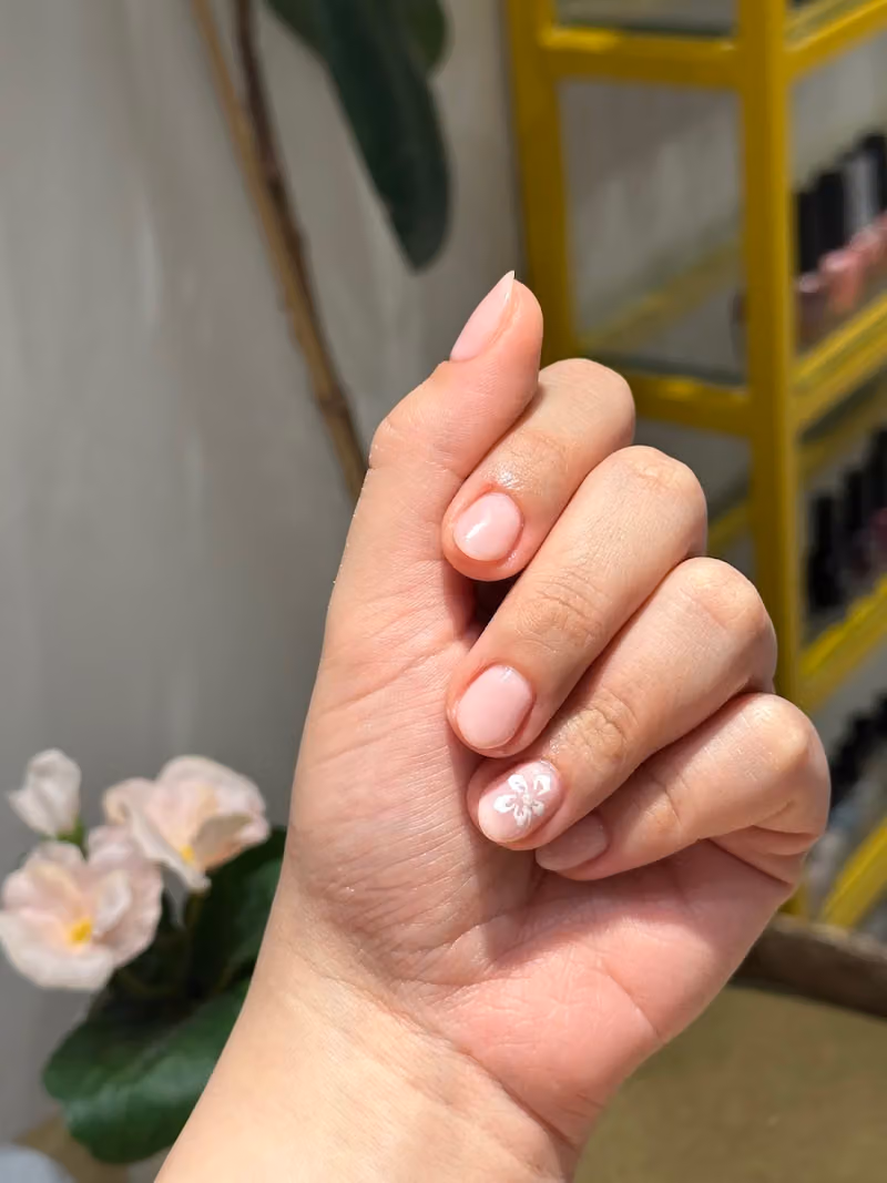 نقاء الأظافرNaqa Nails
