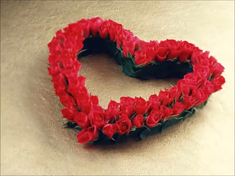 نزل النخلة للشقق المخدومة