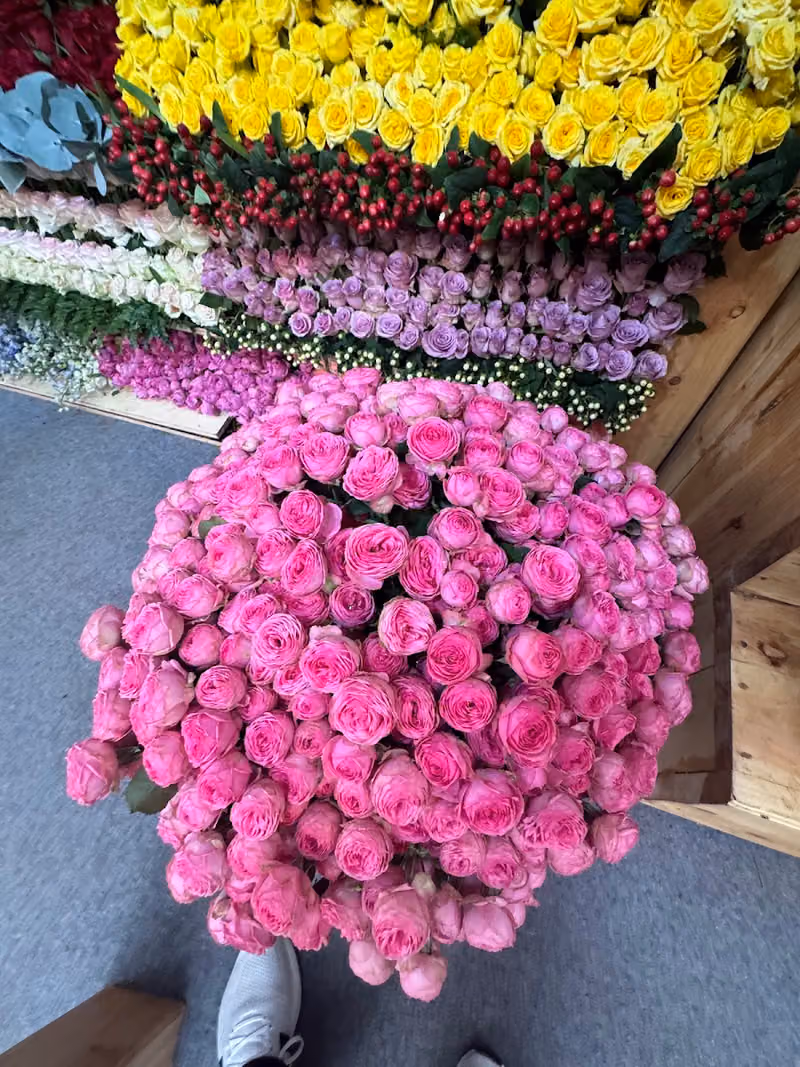 OBAflora - اوبافلورا