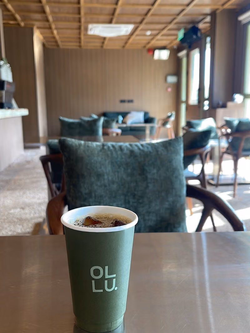 Ollu