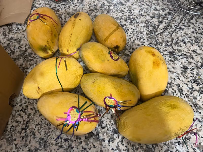 Pakistani Fruits and vegetables