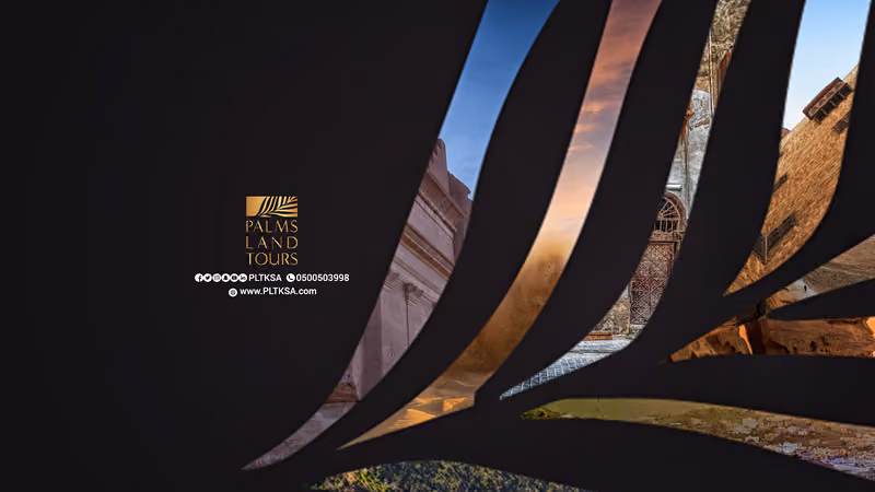Palms Land | بالمز لاند
