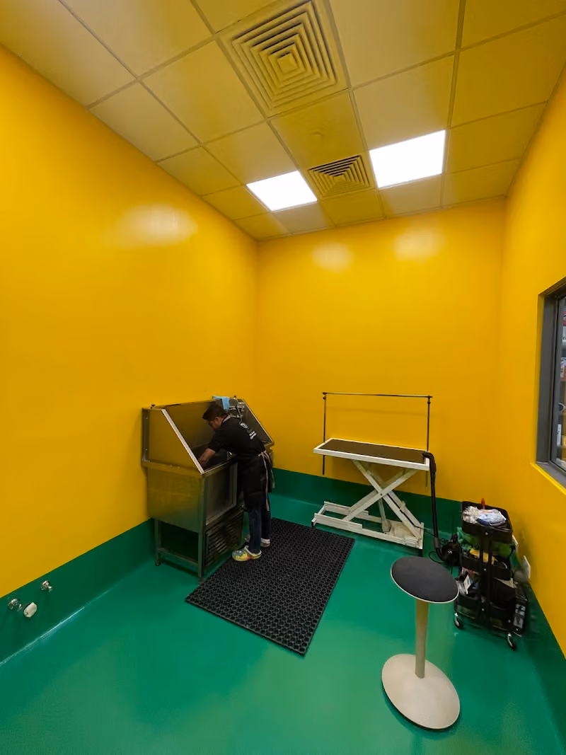 Pawsers Pet Care
