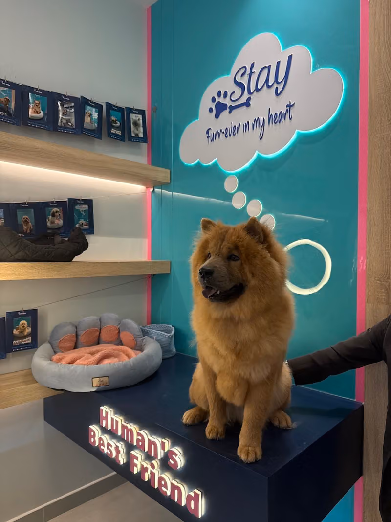 Pet Hub بت هب