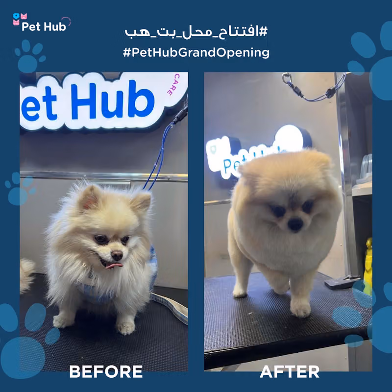 Pet Hub بت هب