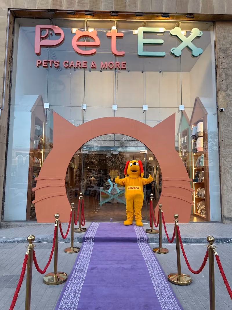 PetEX Store | بيتكس