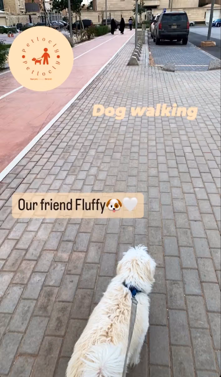 PetLocly Pet Sitting & Pet Boarding &Dog walking