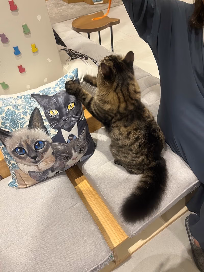 PETOYA Veterinary Clinic عيادة بيتويا البيطرية