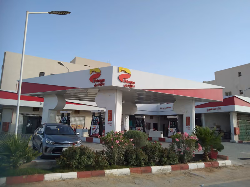 Petrogen بتروجين