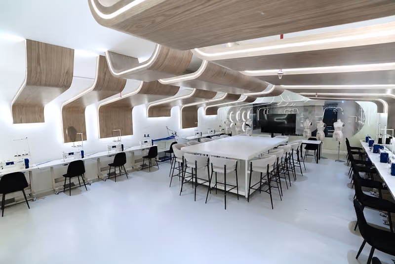 Picasso institute
