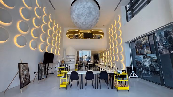 Picasso institute