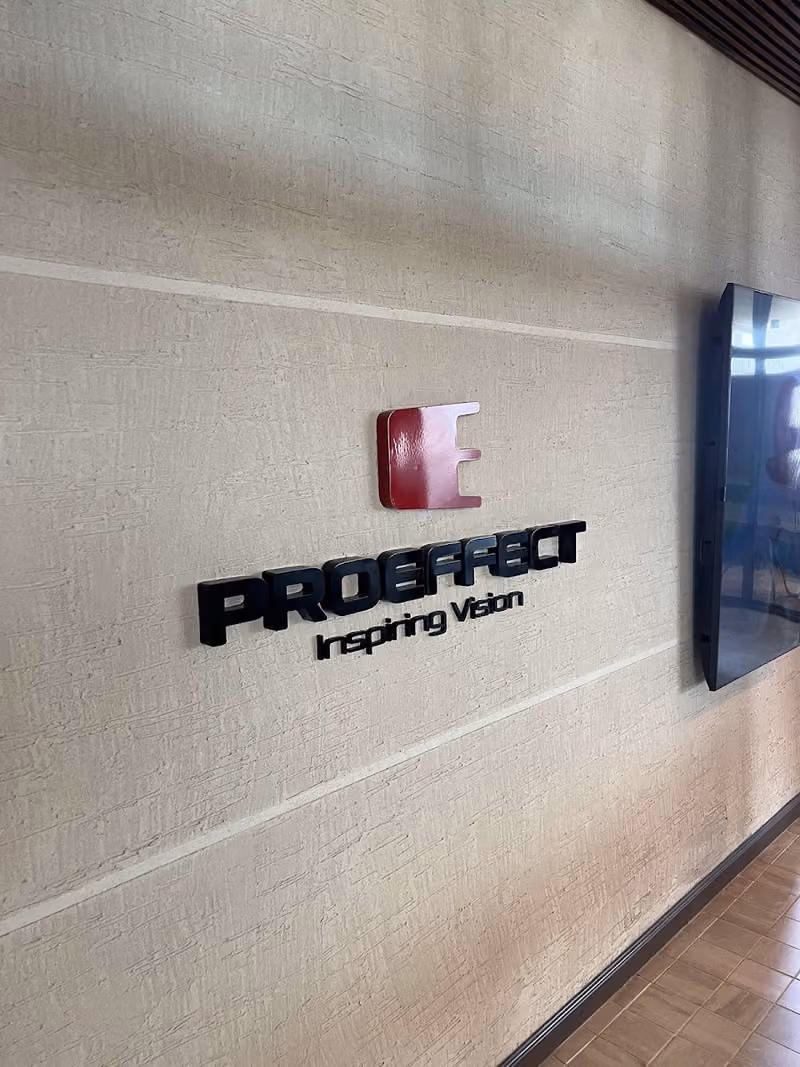 Proeffect work