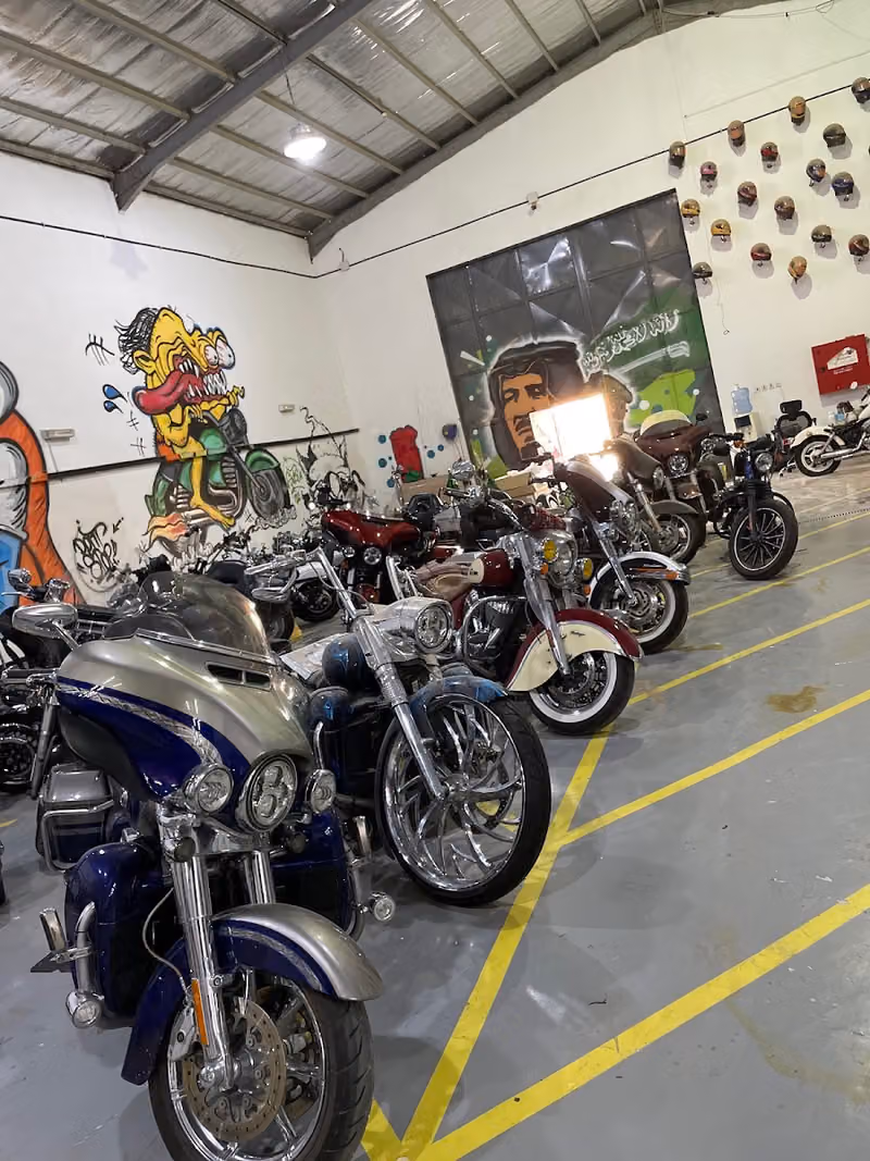 Professional Custom Garage
