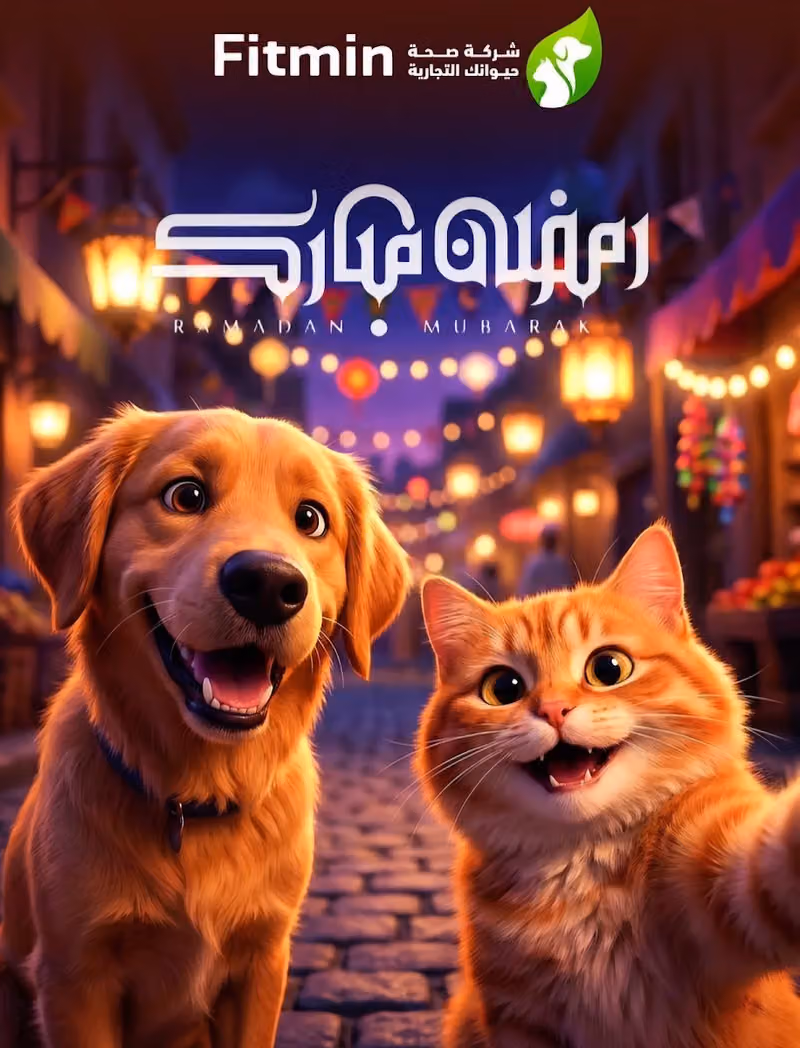 قطة العائلة