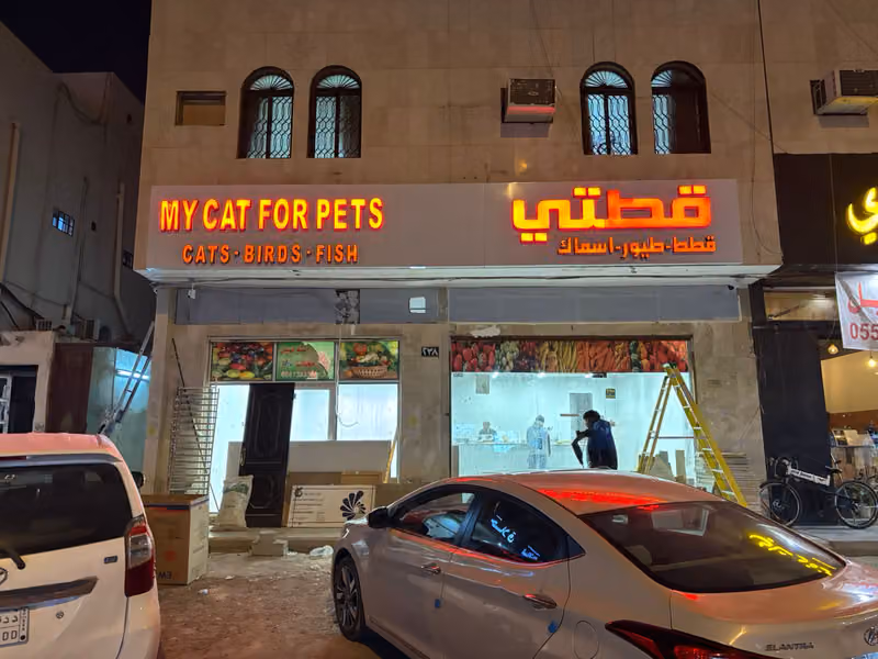 قطتي للحيوانات الأليفة الخليج
