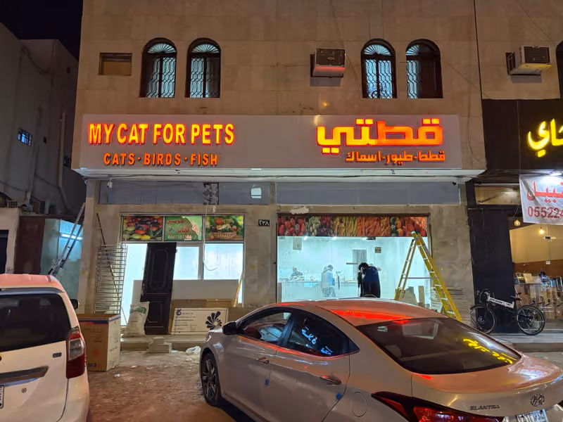 My Cat for Pets - Gulf