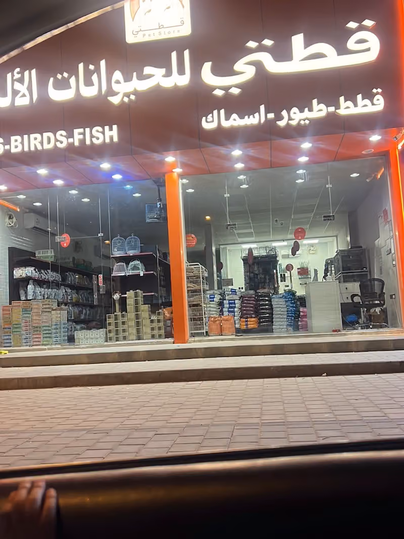 قطتي للحيوانات الاليفة طويق